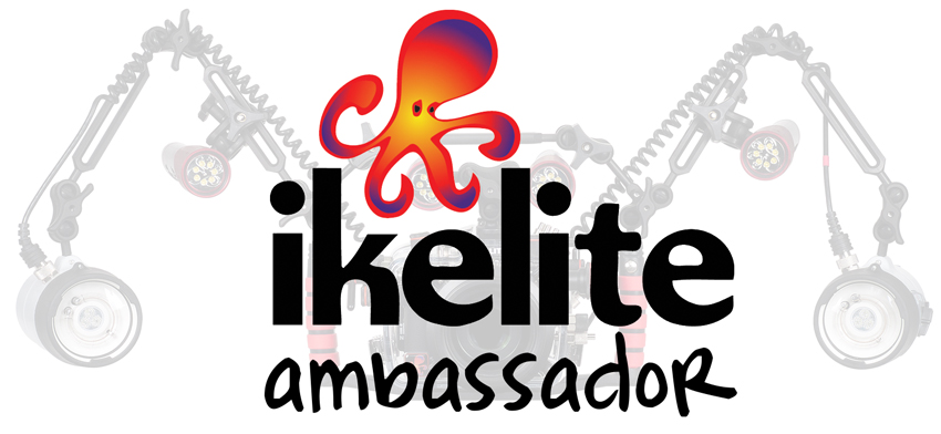 Jacques de Vos is a Ikelite Ambassador