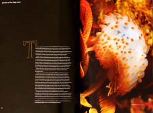 c4-IMG_8107.JPG